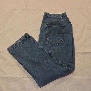 Vintage Carolina Blues Plus‎ Petites Stretch Straight Leg High Rise Jeans 18 WP